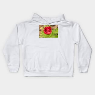 32218 red poppy Kids Hoodie